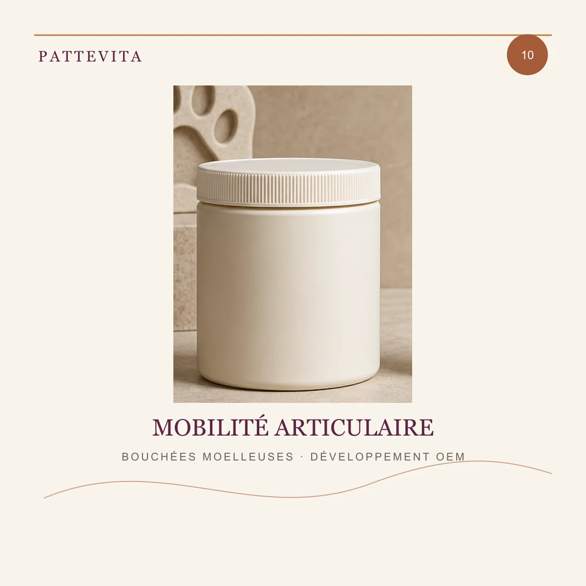 Présentation éditoriale de Bouchées moelleuses — Mobilité articulaire pour une gamme en marque blanche